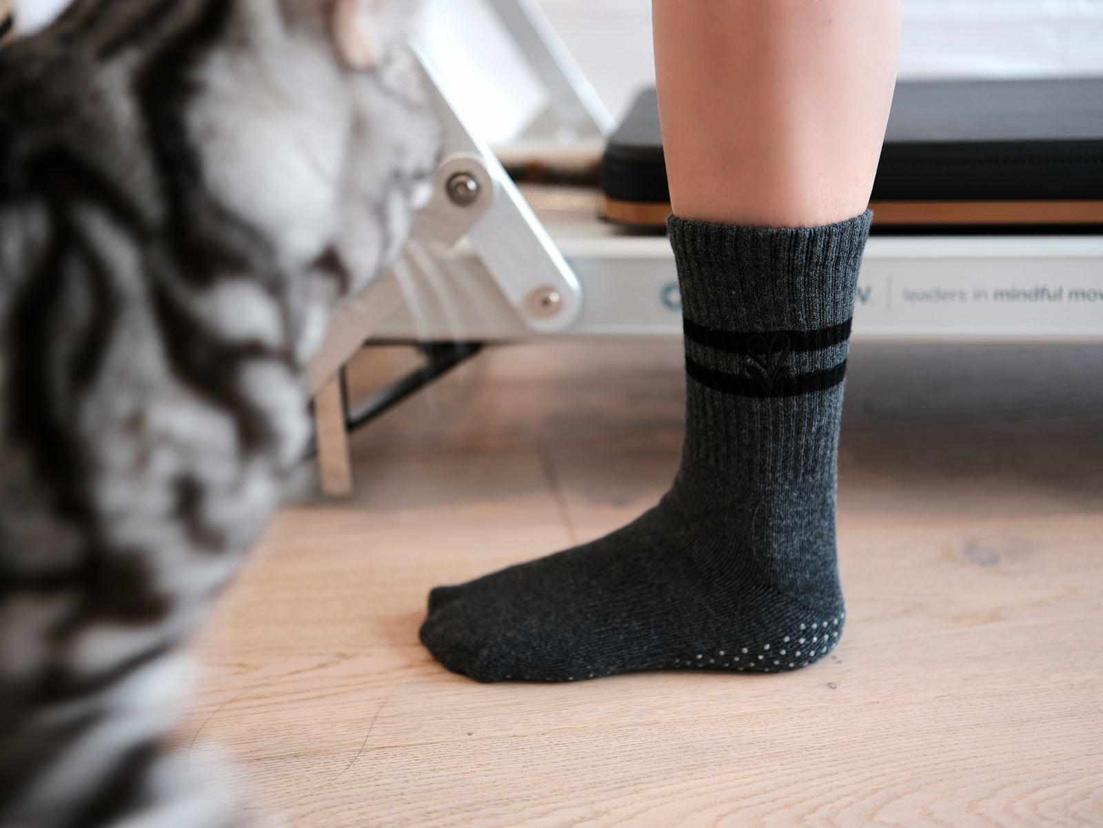 Truffle Grey pilates grip socks by MOÉVE image 4