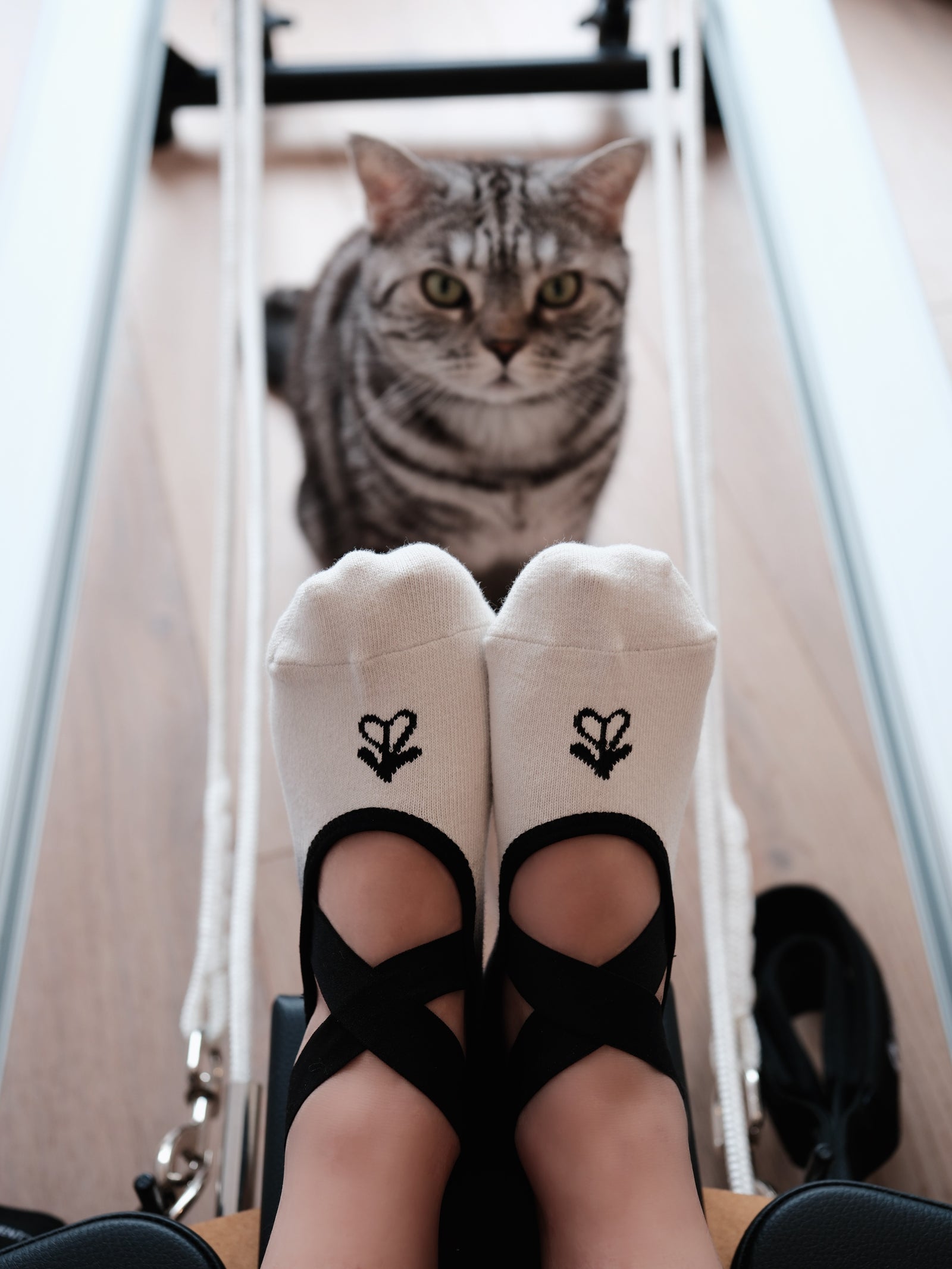 Black Sesame pilates grip socks by MOÉVE